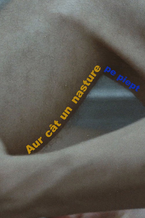 Movie poster for Aur cât un nasture pe piept (1983)
