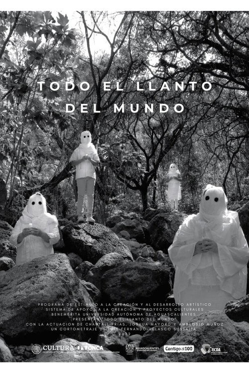 Movie poster for Todo el llanto del mundo (2022)