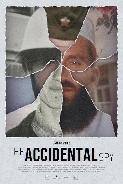Movie poster for The Accidental Spy (2024)