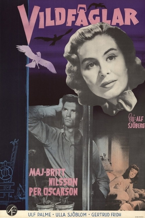 Movie poster for Wild Birds (1955)