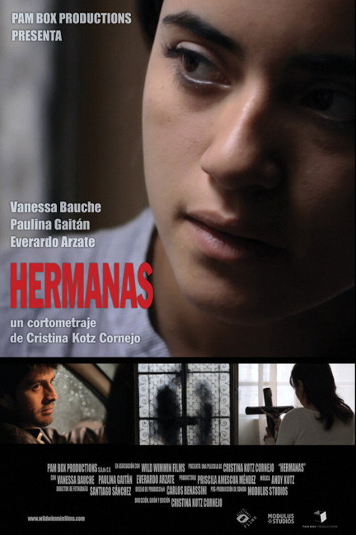 Movie poster for Hermanas (2013)