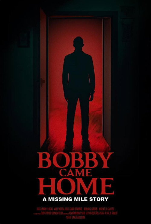 Movie poster for Bobby Came Home