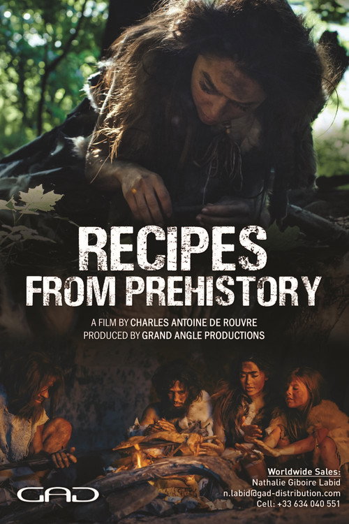 Series poster for Dans les cuisines de la Préhistoire (2024)
