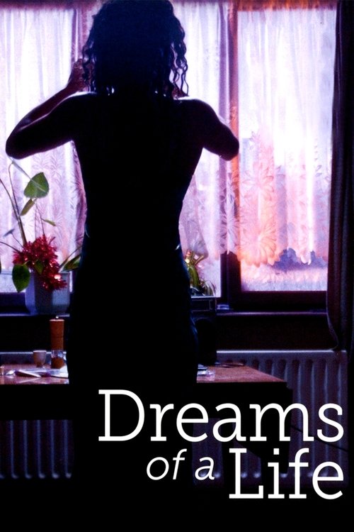Movie poster for Dreams of a Life (2011)