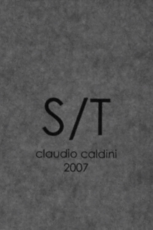 Movie poster for S/T (2007)