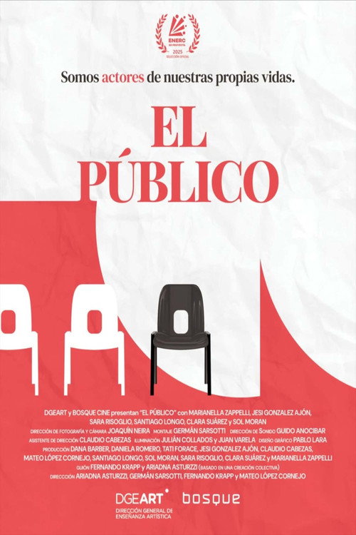 Movie poster for The public (2025)