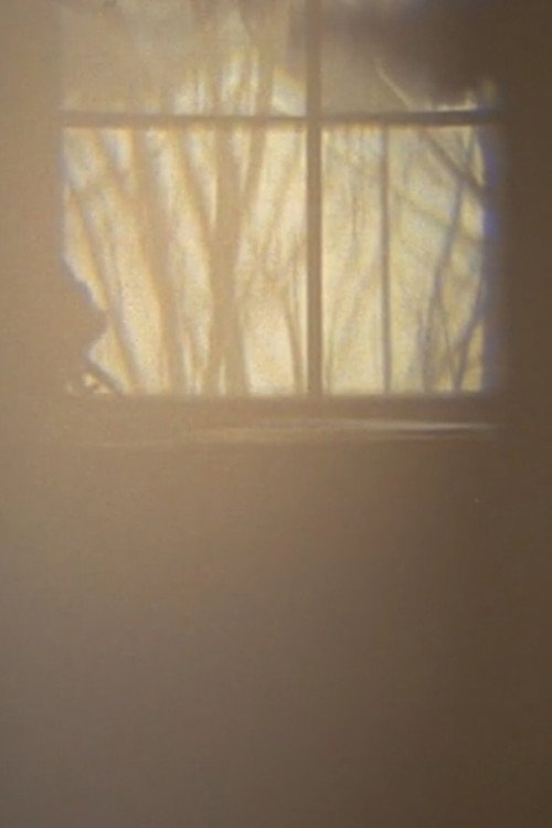 Movie poster for First Law: Quail Ct. (2011)