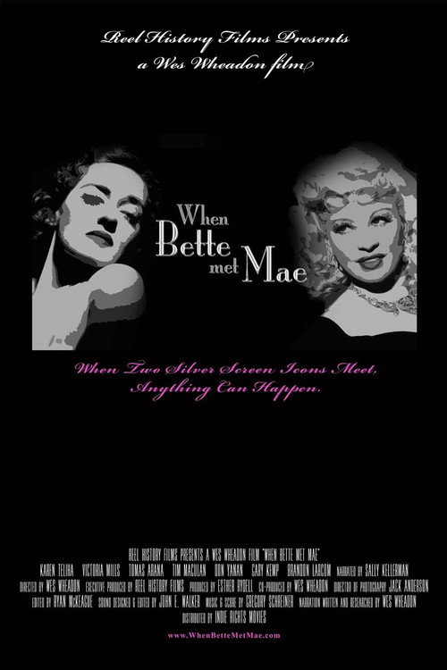 Movie poster for When Bette Met Mae (2014)