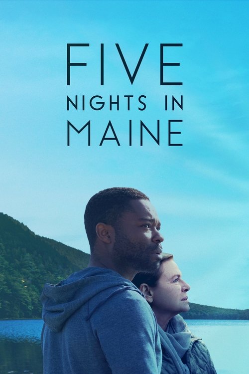 Movie poster for Five Nights in Maine (2016)