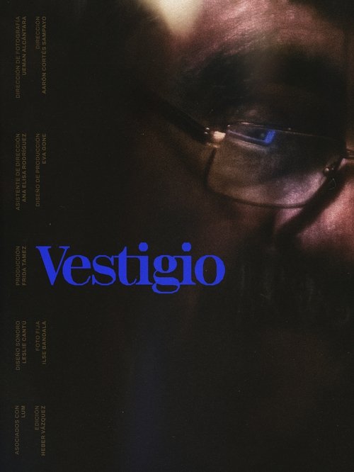 Vestige poster