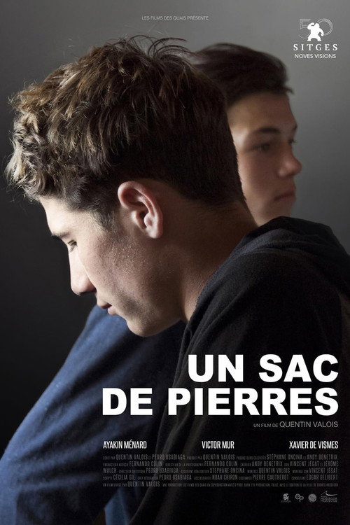 Movie poster for Un sac de pierres (2017)