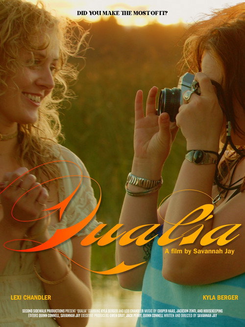 Movie poster for Qualia
