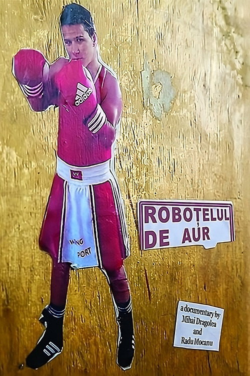 Movie poster for Golden Robot (2015)