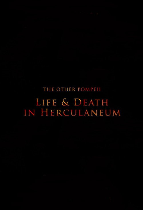 Movie poster for The Other Pompeii: Life & Death in Herculaneum (2013)