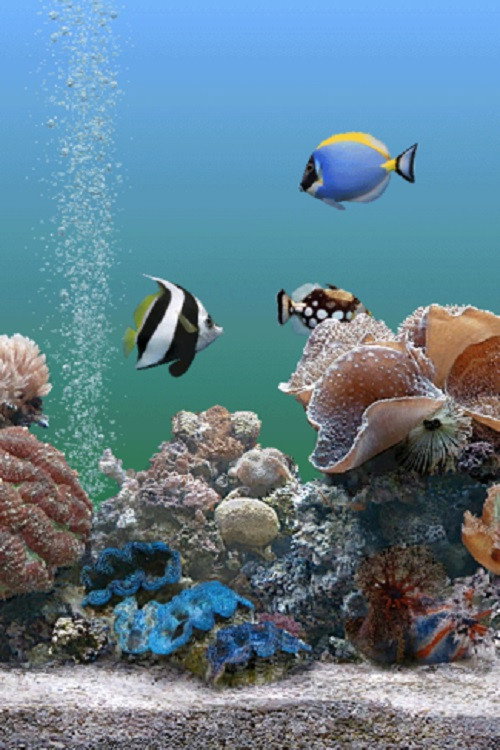 Movie poster for Coral Dreamscapes: An Exotic Aquarium (2000)