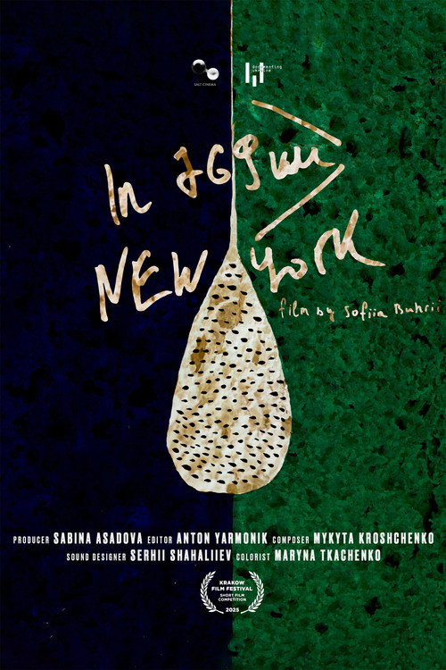 Movie poster for In 769 km, New York (2025)