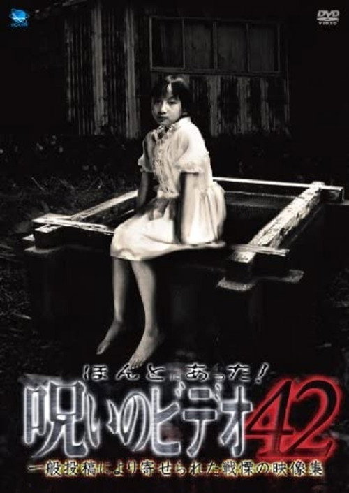 Movie poster for Honto Ni Atta! Noroi No Video 42 (2011)