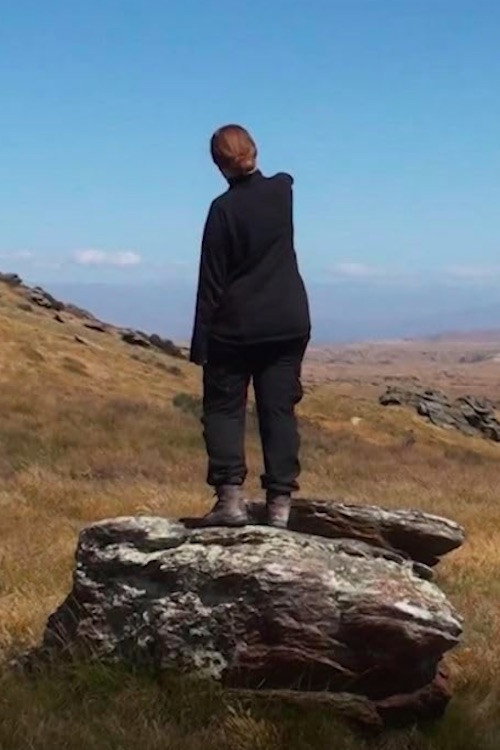 Movie poster for A Far Green Country (2021)