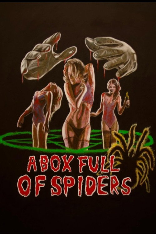 Movie poster for A Box Full of Spiders (2023)