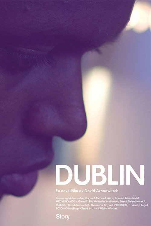 Movie poster for Dublin (2012)