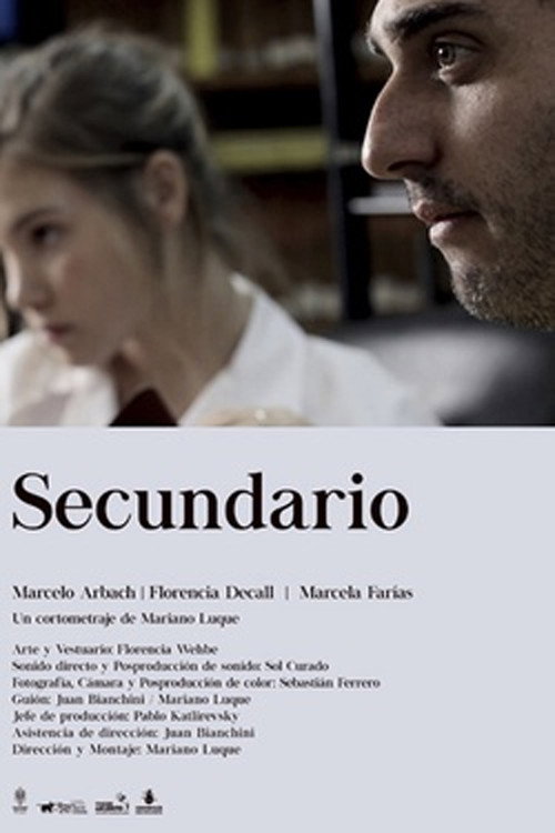 Movie poster for Secundario (2010)