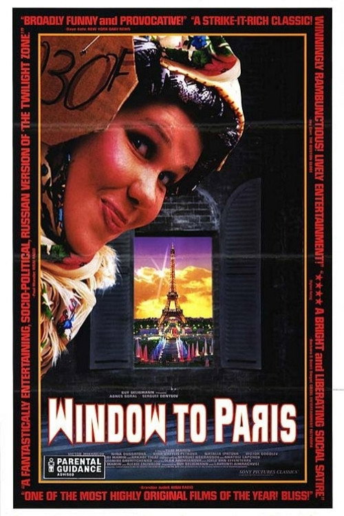 Movie poster for Window to Paris (1993)