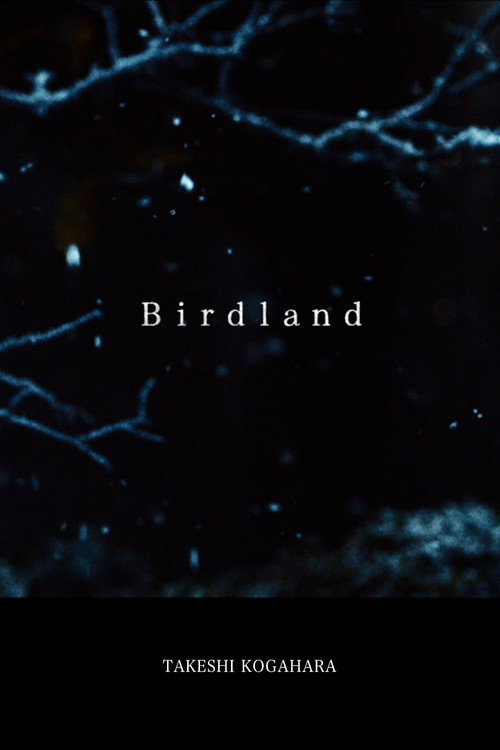 Movie poster for Birdland (2019)