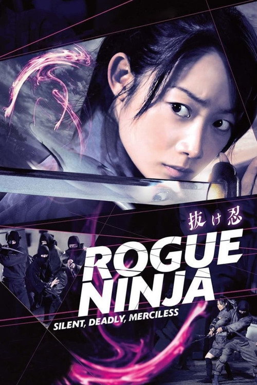 Movie poster for Rogue Ninja (2009)