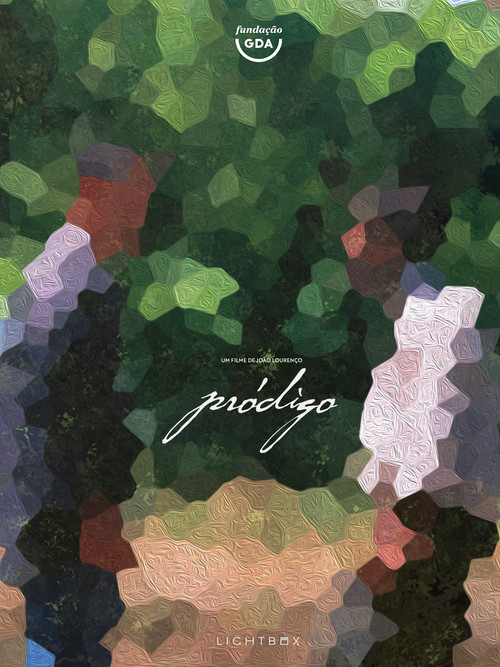 Movie poster for Pródigo (2018)