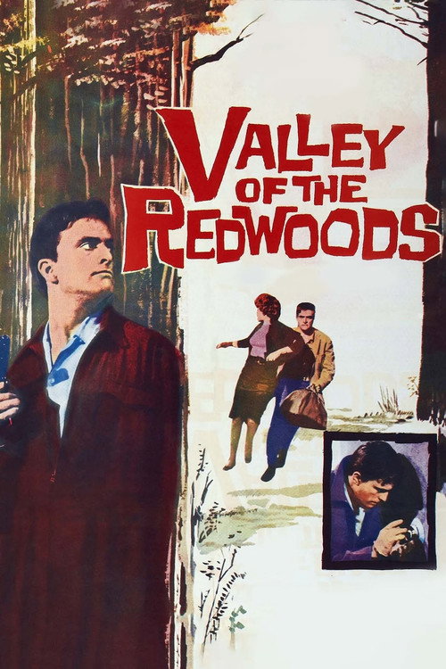 Movie poster for Valley of the Redwoods (1960)