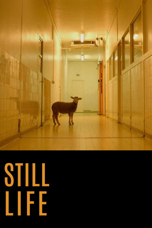 Movie poster for Still Life (2016)