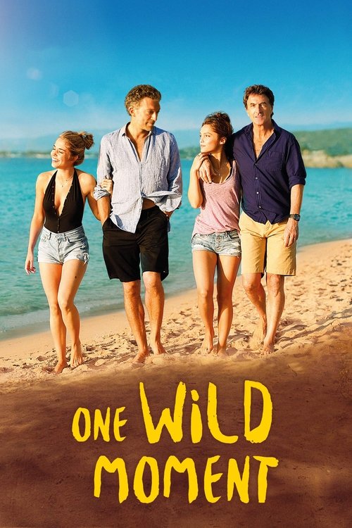 Movie poster for One Wild Moment (2015)