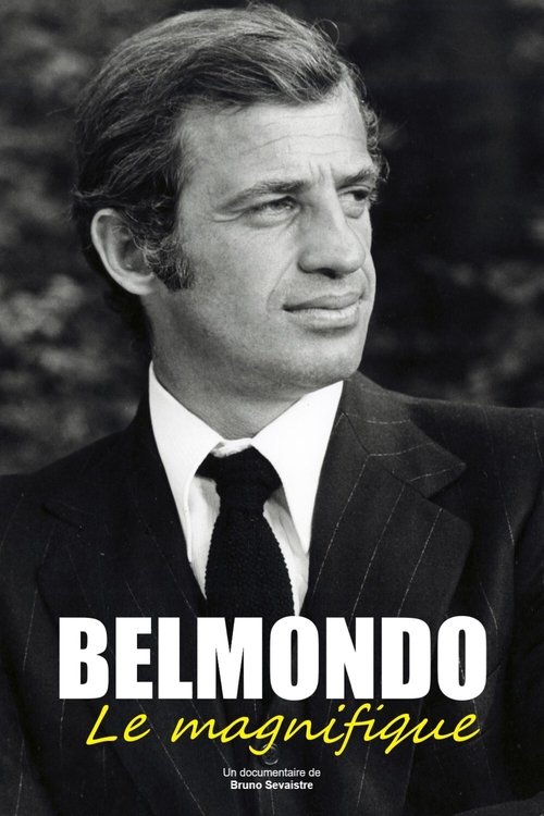 Movie poster for Belmondo, le magnifique (2017)