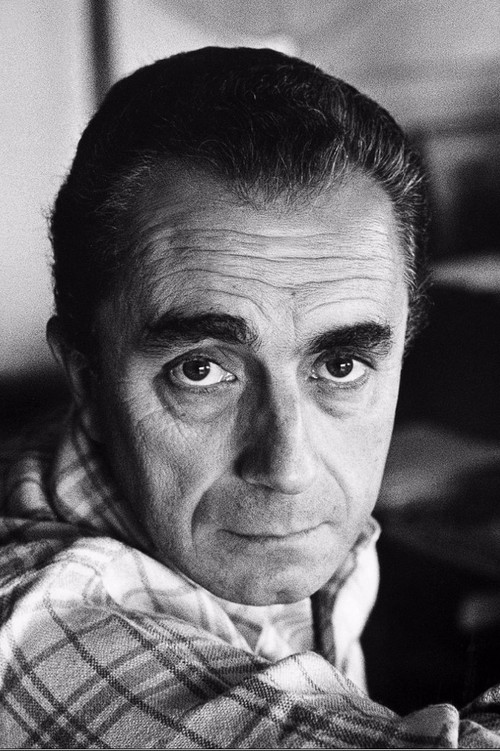 Michelangelo Antonioni profile