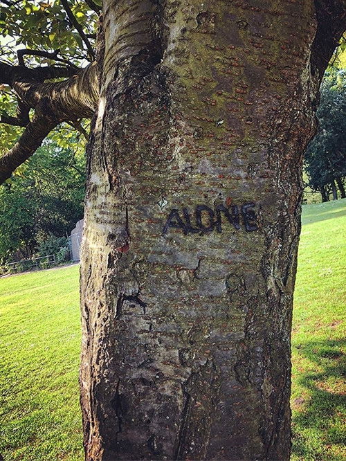 Movie poster for Alone (2018)