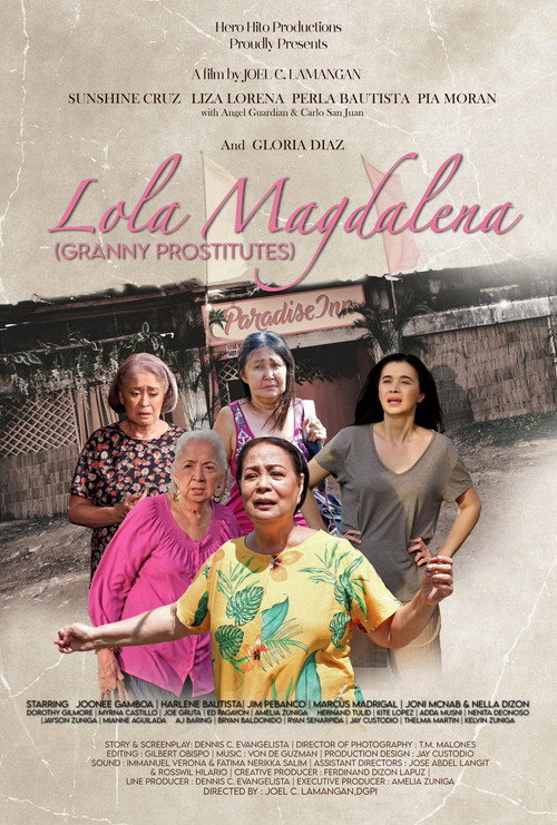 Movie poster for Granny Prostitutes (2024)