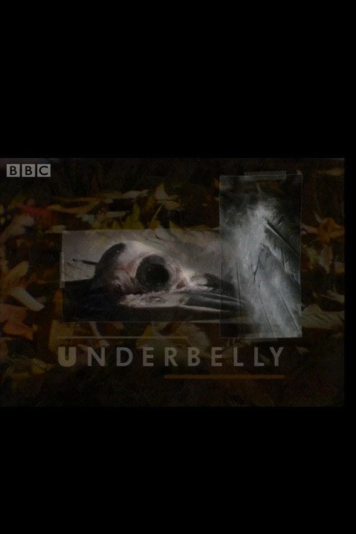 Series poster for Underbelly (1992)