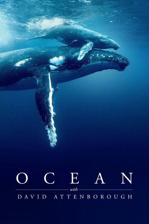Movie poster for Ocean with David Attenborough (2025)