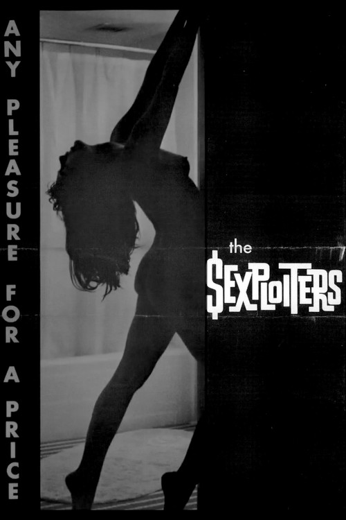 Movie poster for The Sexploiters (1965)
