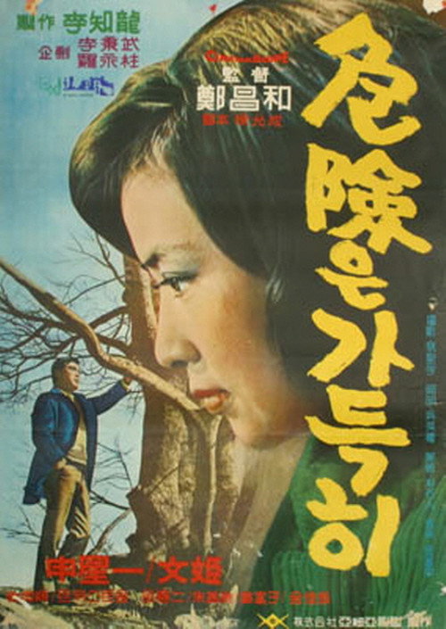 Movie poster for A Full Danger (1967)