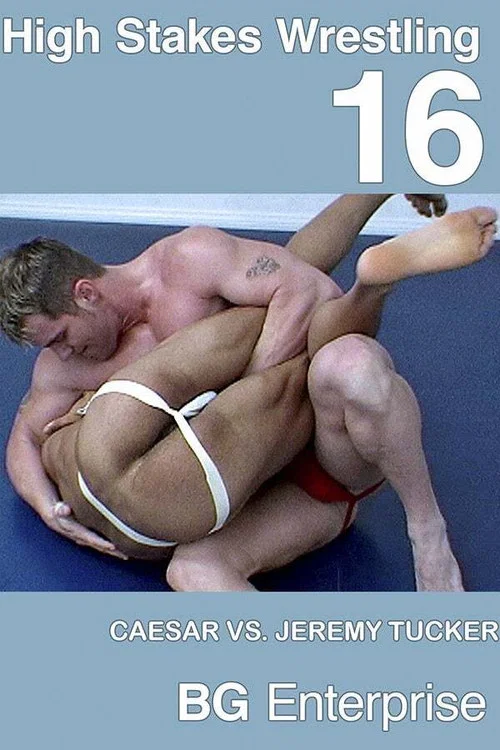 Movie poster for High Stakes Wrestling 16 (2002)
