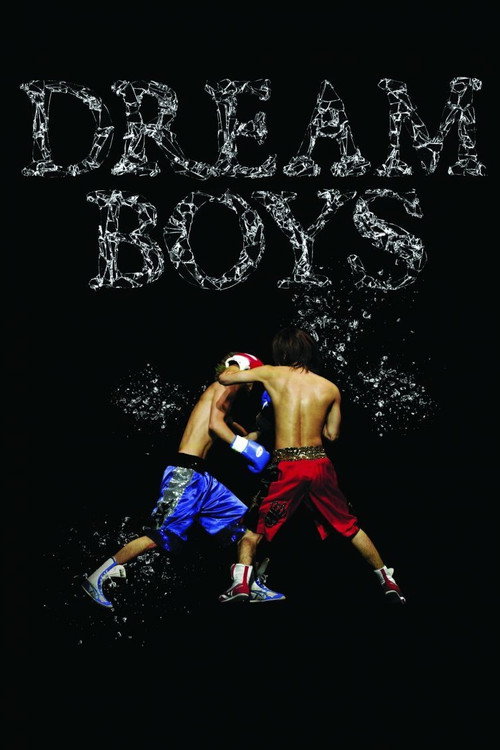 Movie poster for DREAM BOYS (2008)
