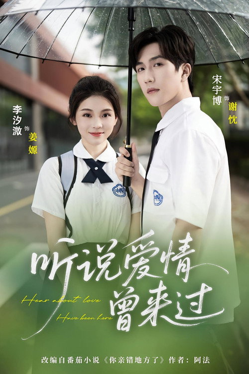 听说爱情曾来过 poster