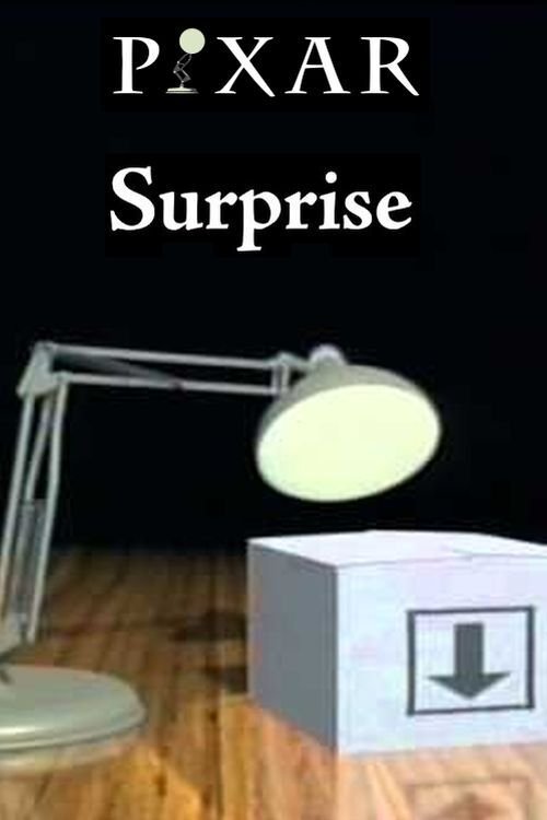 Movie poster for Surprise (1991)
