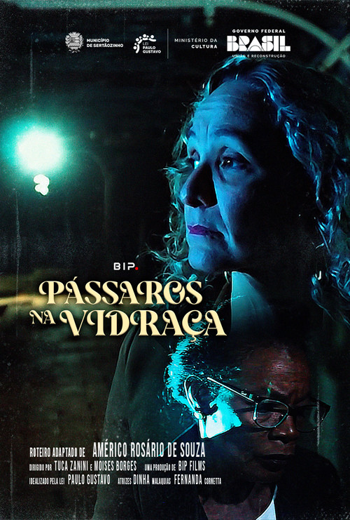 Movie poster for Pássaros na Vidraça (2025)