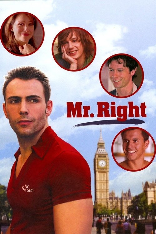 Movie poster for Mr. Right (2009)