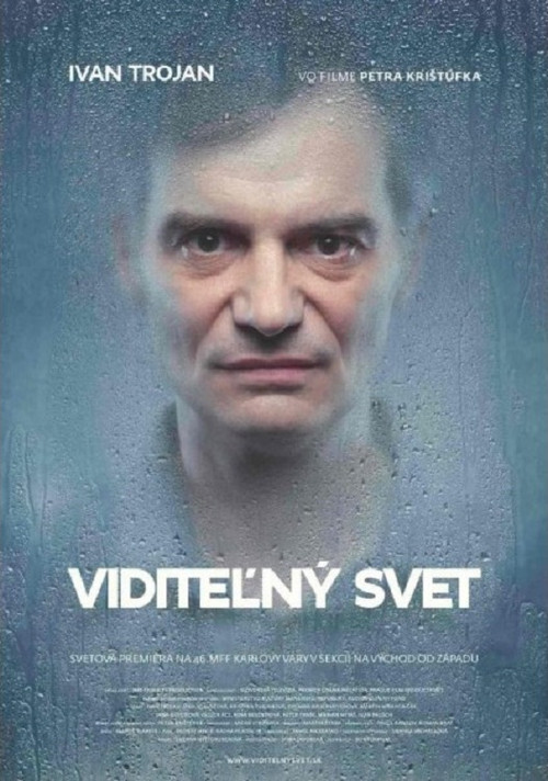 Movie poster for Visible World (2011)