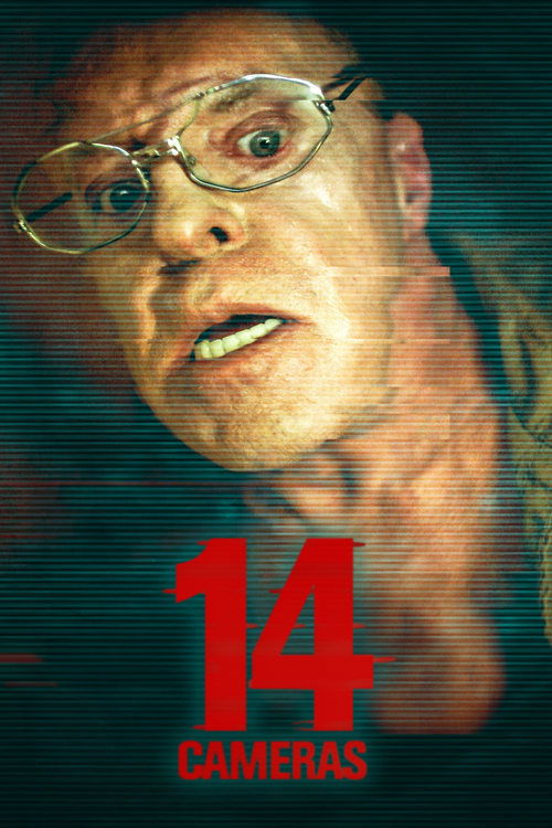 Movie poster for 14 Cameras (2018)