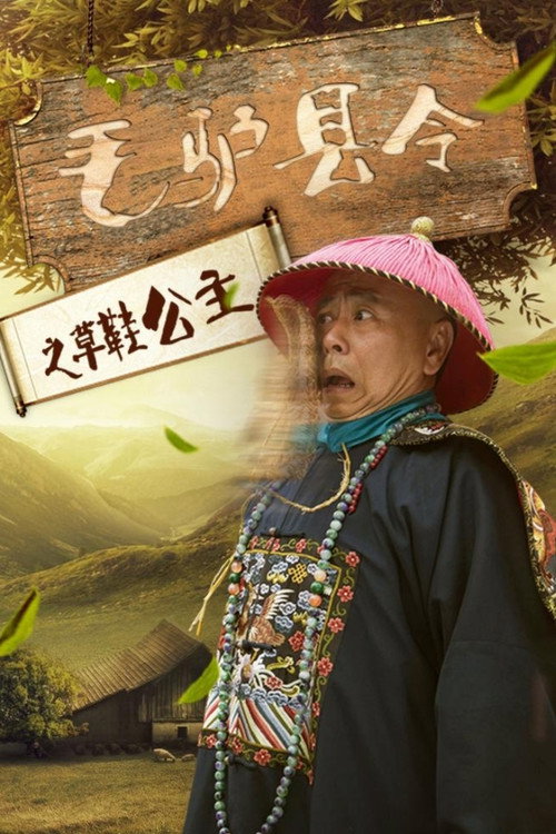 Movie poster for Donkey Magistrate of the Sandal Princess (2016)