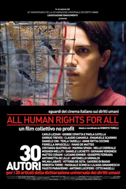 Movie poster for All Human Rights for All (2008)
